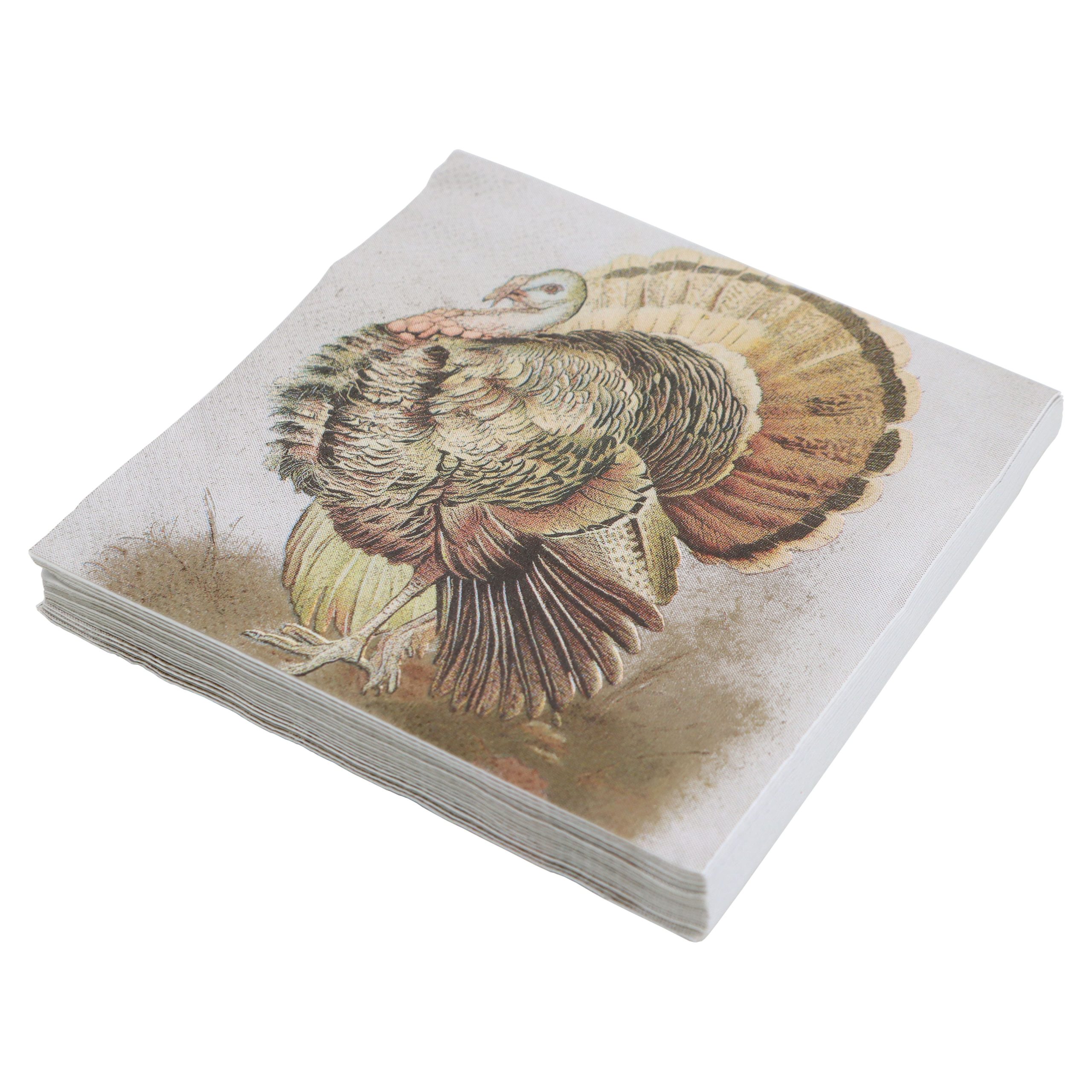 Thanksgiving Turkey Beverage Napkins, 20ct. by Celebrate It™ - Image 2
