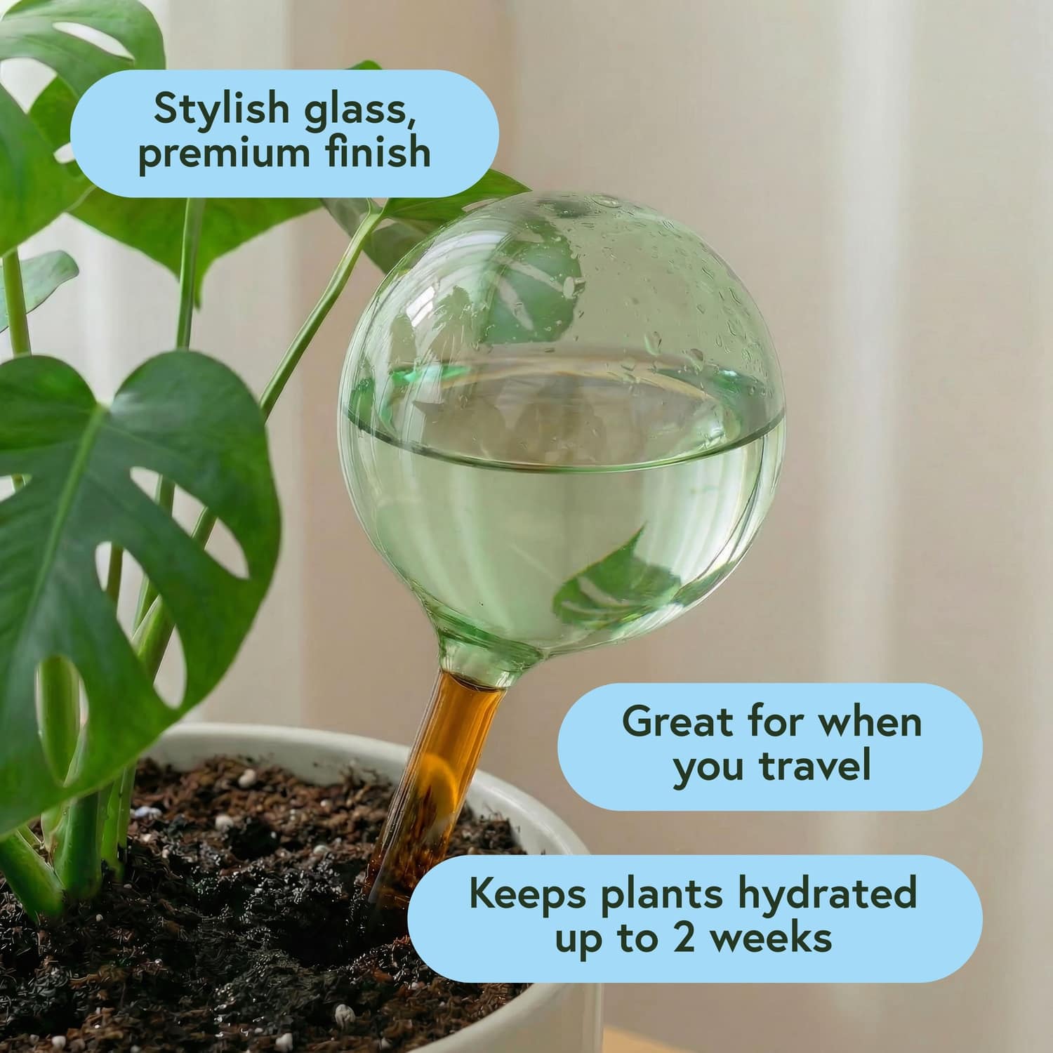 We The Wild™ Self-Watering Plant Globes - Image 4