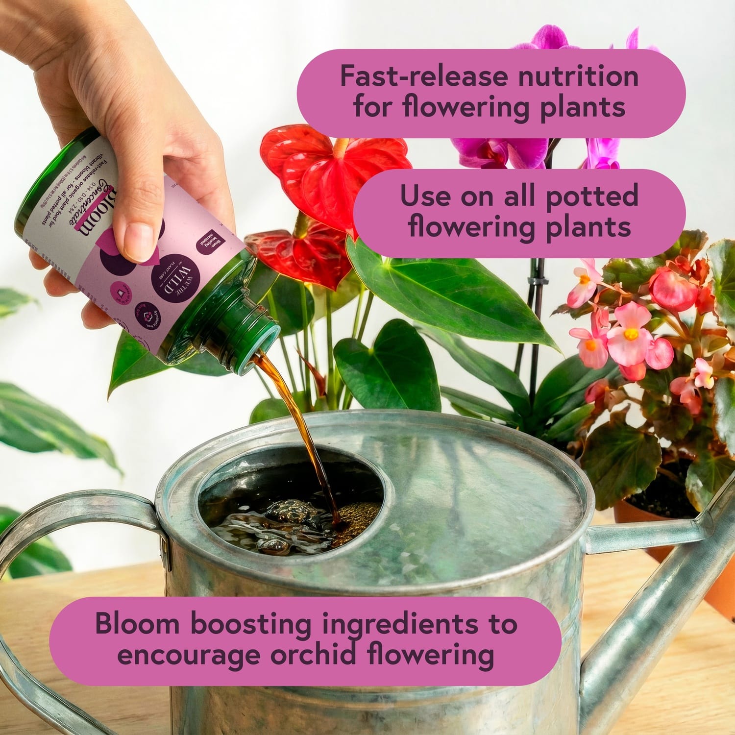 We The Wild™ Orchid Care Essentials Kit - Image 4