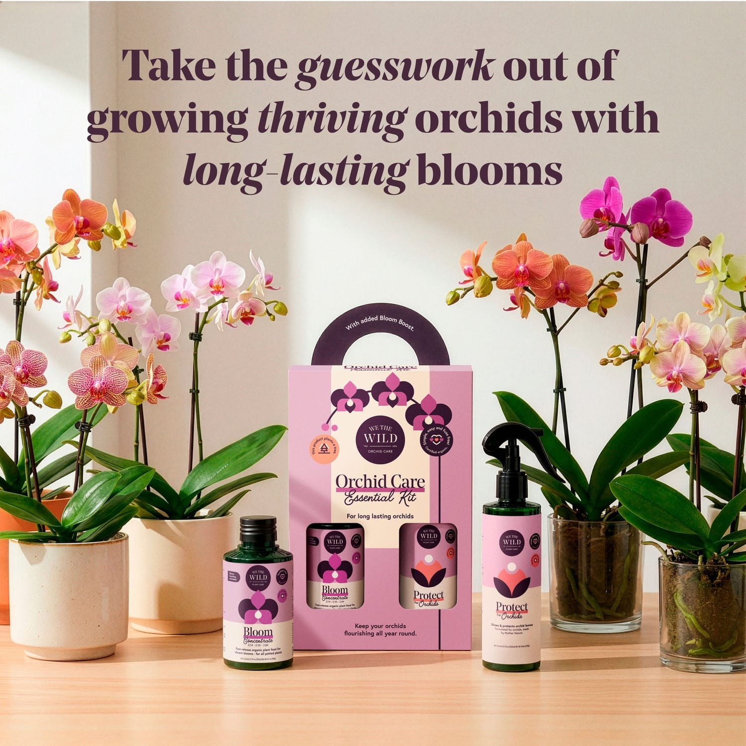 We The Wild™ Orchid Care Essentials Kit - Image 2