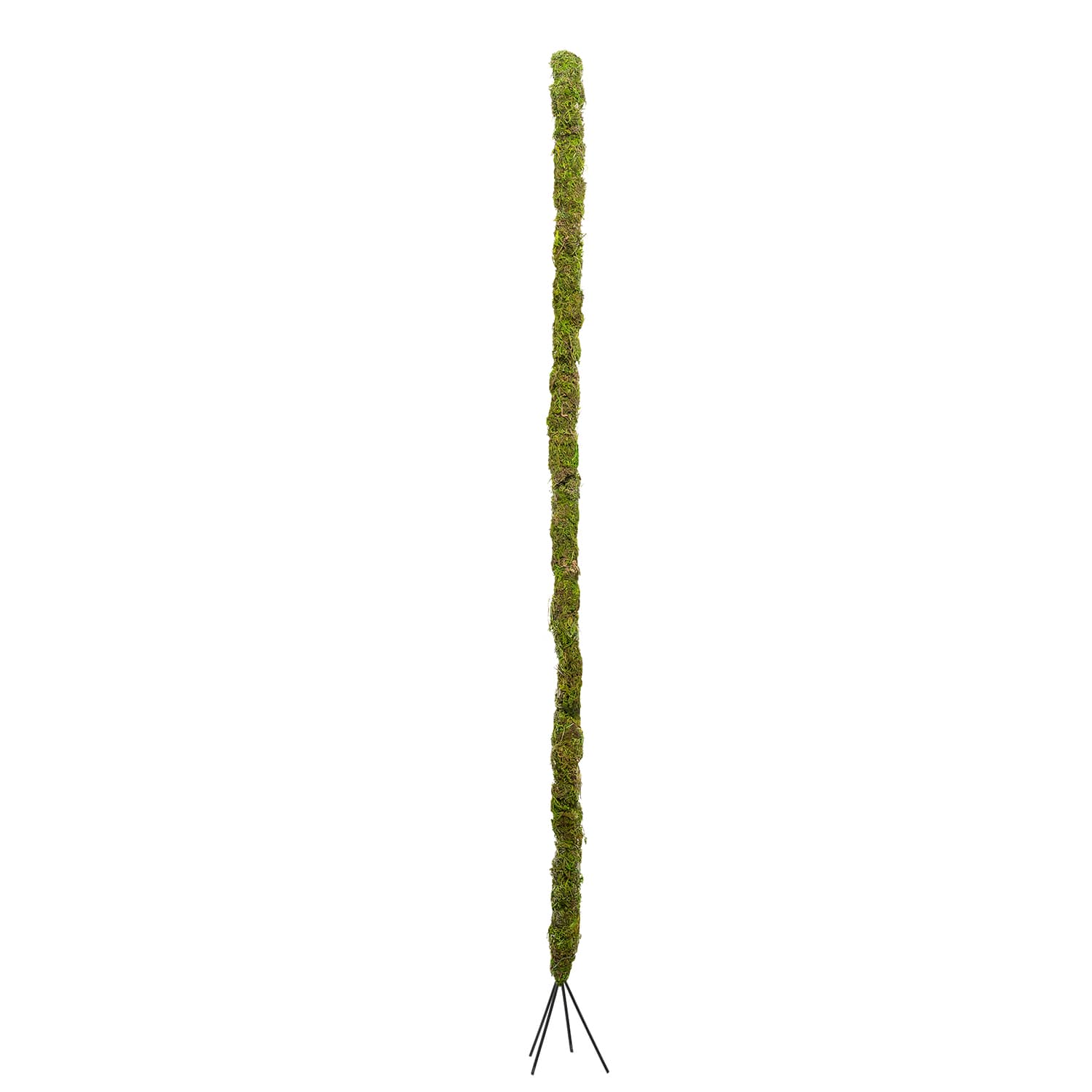 36" Bendable Moss Pole, 2ct. by Ashland®