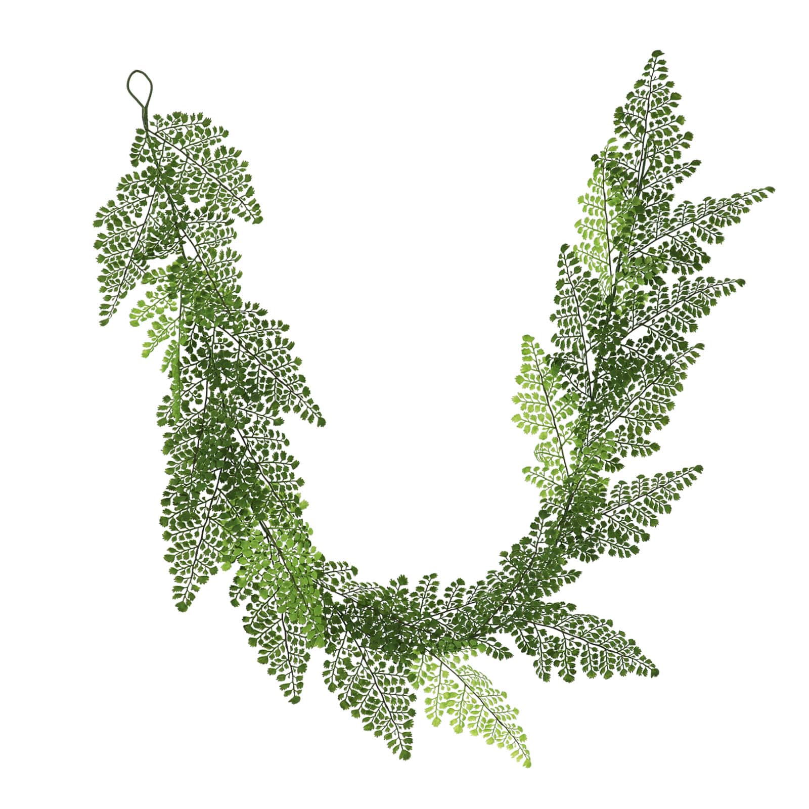 6ft. Maidenhair Fern Garland by Ashland®