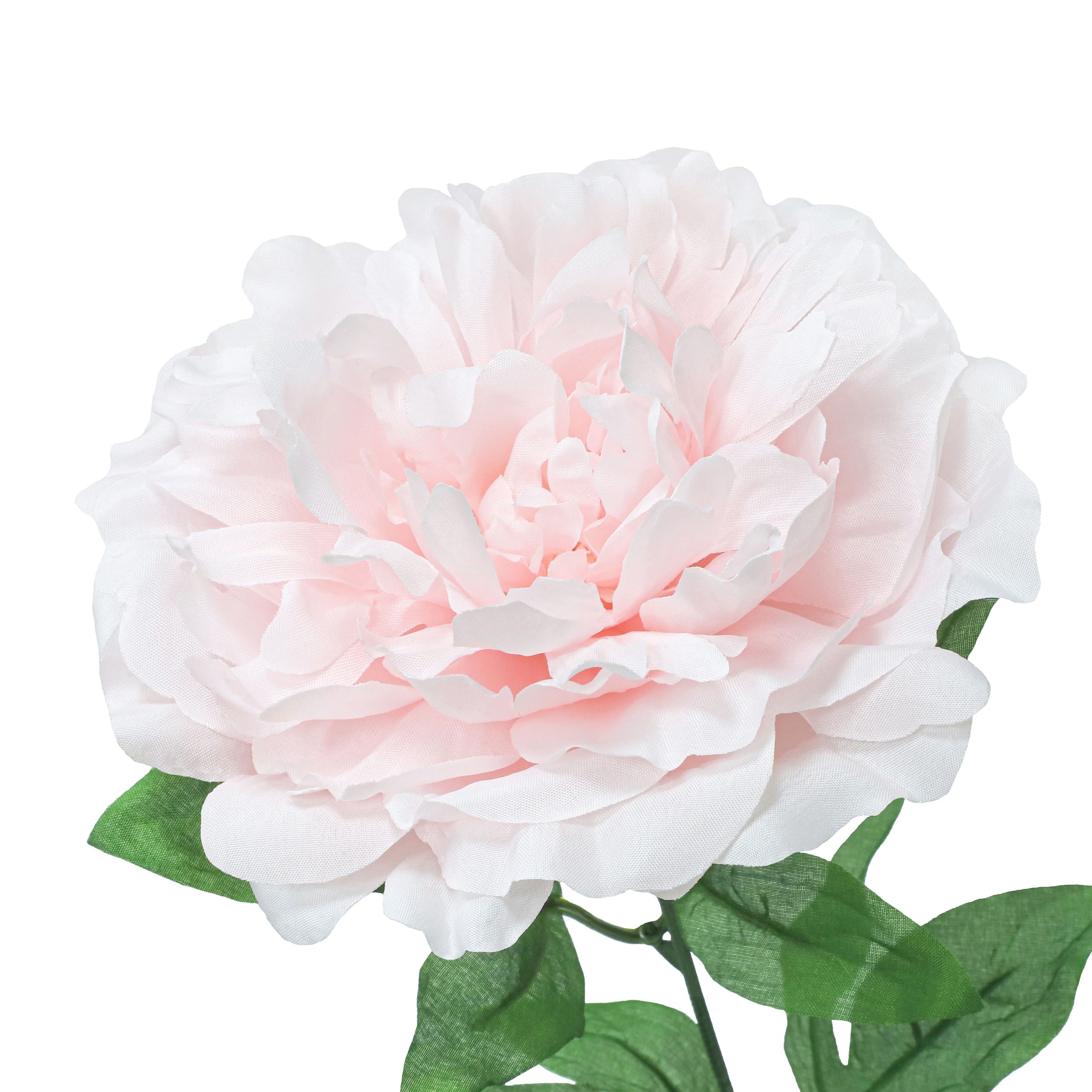 21" Light Pink Peony Bush by Ashland® - Image 3